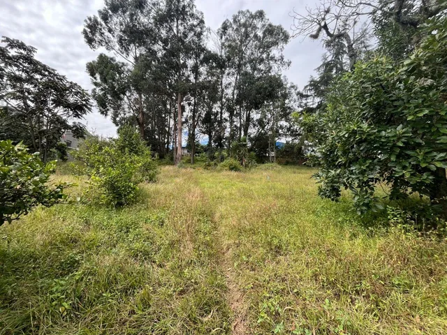 Venta Terreno 1 Hectárea Tumbaco – Alto Potencial Comercial E Inmobiliario — imagen 2