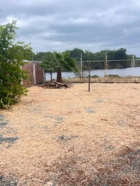 Terreno con Vista Directa Al Manglar, Guayas — imagen 2
