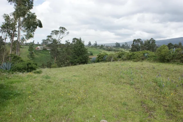 Venta - Terreno - Casa - Tabacundo - Pedro Moncayo — imagen 5