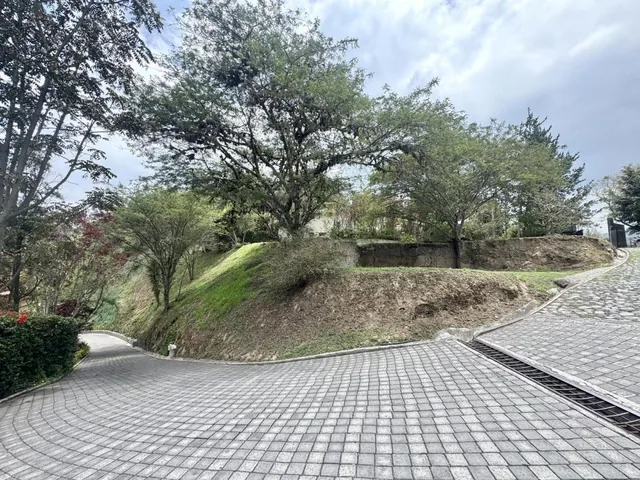 Terreno Plano de Venta en Cumbayá Cerca Al Chaquiñan — imagen 3