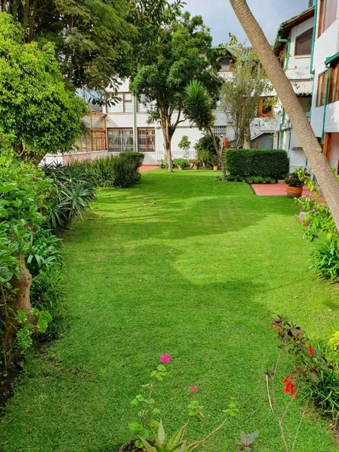 Vendo Linda Casa / Bellavista (En Conjunto) — imagen 4