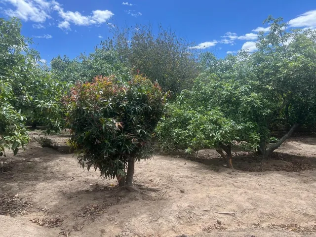 Terreno en Guayllabamba — imagen 2