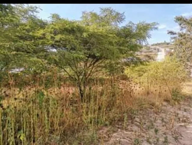 Vendo Terreno en Llano Grande Las Tolas 988 m — imagen 5