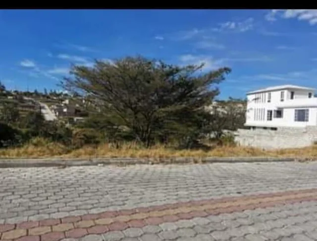 Vendo Terreno en Llano Grande Las Tolas 988 m — imagen 3