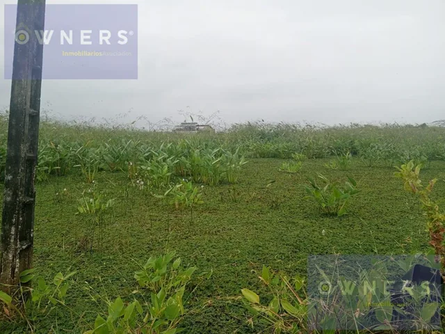 Venta Terreno Industrial 9000 m² Via Duran Tambo (Age), Guayas — imagen 4