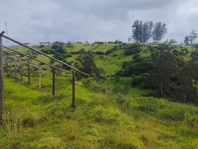 Terreno en Venta, Pintag 65,648.75 m² — imagen 4