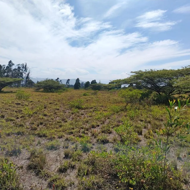 Venta de Hermoso Terreno en Malchingui de 51493 m² Plano — imagen 4