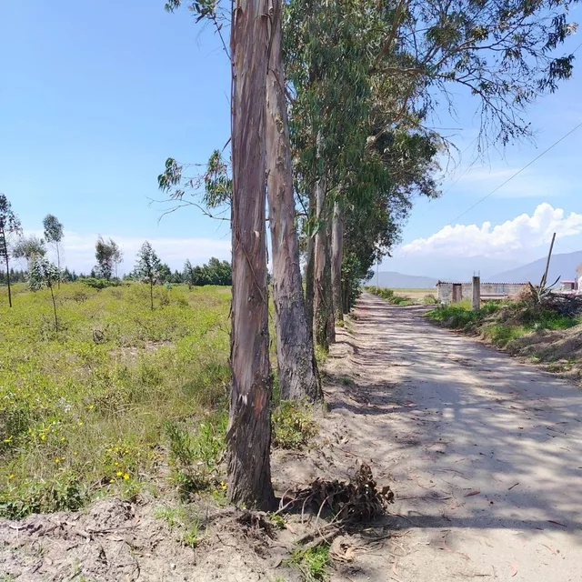 Venta de Hermoso Terreno en Malchingui de 51493 m² Plano — imagen 3