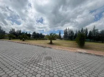 Terreno de 1243 m² en Venta en Puembo, Zona Colegio Americano — imagen 3