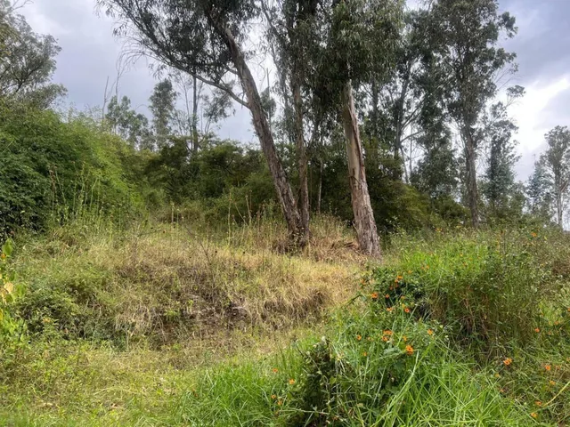 Venta Terreno Tumbaco Via Intervalles — imagen 4