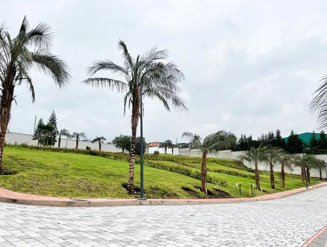 Terreno en Puembo Alto de Venta — imagen 2