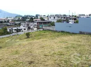 Venta de Terreno Sector La Armenia — imagen 2