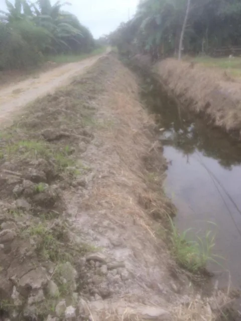 Vendo Terreno Agrícola en Milagro Vía a Naranjito, Ings. Guayas — imagen 4