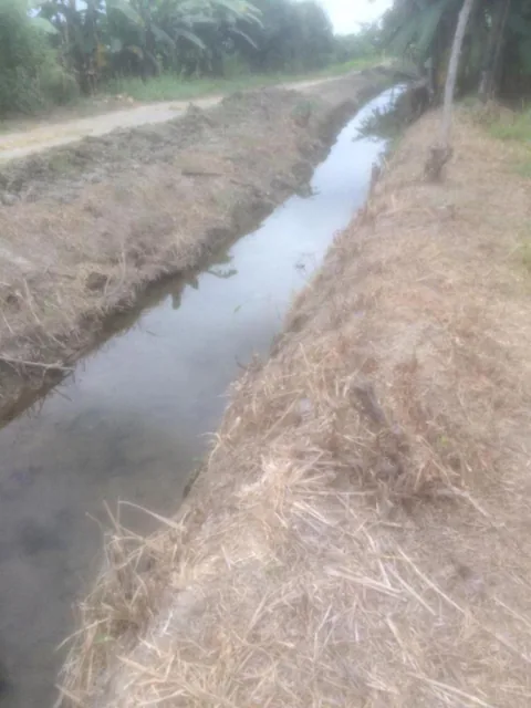 Vendo Terreno Agrícola en Milagro Vía a Naranjito, Ings. Guayas — imagen 2