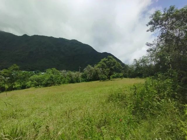 Terreno en Mitad del Mundo — imagen 4