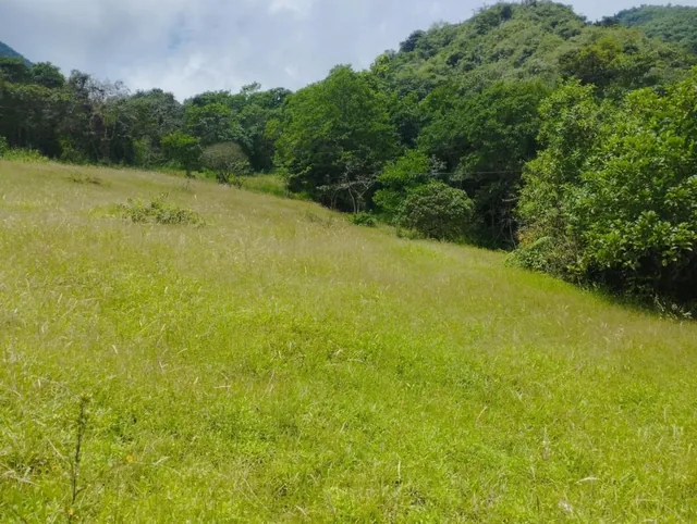 Terreno en Mitad del Mundo — imagen 2