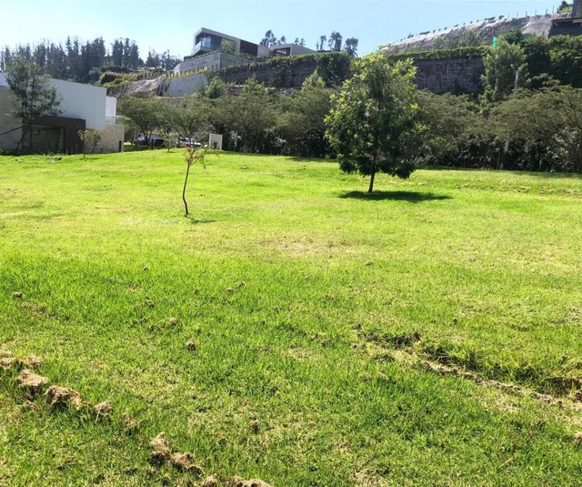 Cumbaya Terrenos en Venta en Urbanizacion Exclusiva Vista Espectacular — imagen 5