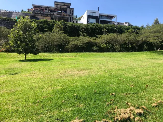 Cumbaya Terrenos en Venta en Urbanizacion Exclusiva Vista Espectacular — imagen 3