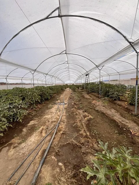Terreno 2117 m² de Venta en Puembo Sector La Gruta — imagen 5