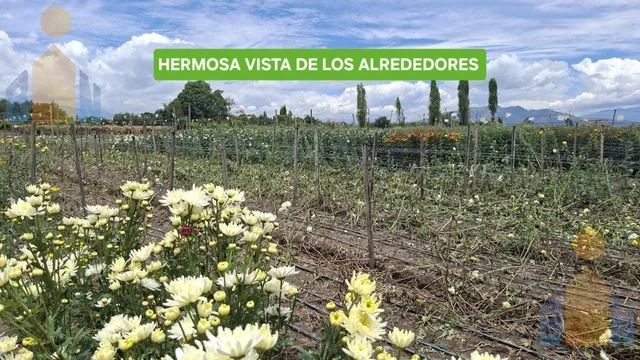 Terreno - Tababela — imagen 3
