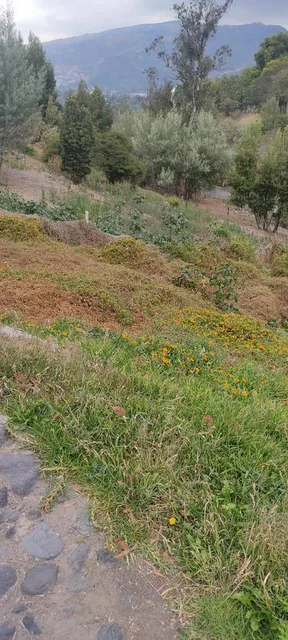 Terreno - Quito — imagen 2