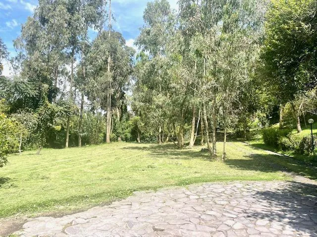 Vs Sector Capelo, Venta Propiedad 12036 m² — imagen 5
