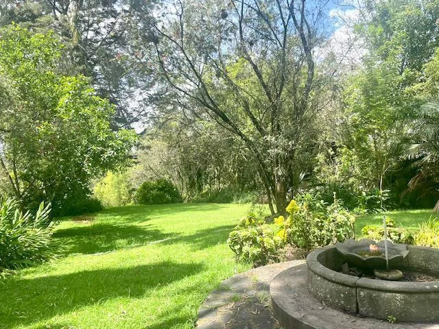 Vs Sector Capelo, Venta Propiedad 12036 m² — imagen 4