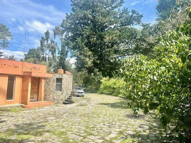 Vs Sector Capelo, Venta Propiedad 12036 m² — imagen 3