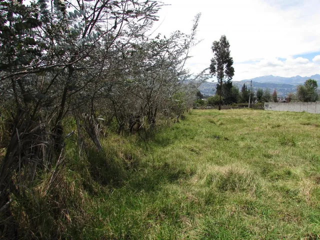 Terreno Sector Poncho Verde El Colibrí 5.915 m² — imagen 3