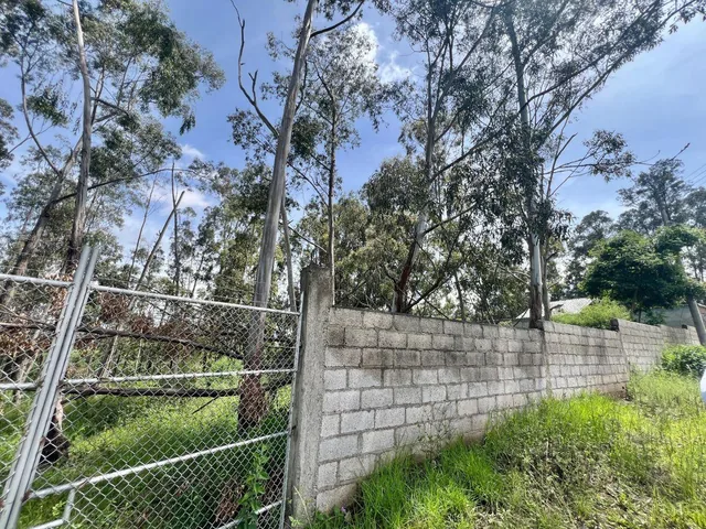 Terreno de Venta en Pifo 751 m² Ciudadela Wilson — imagen 4