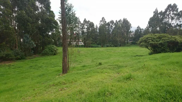 Venta de Terreno Plano Para Vivienda, Colegio, Plaza Comercial de 20000 m² — imagen 5