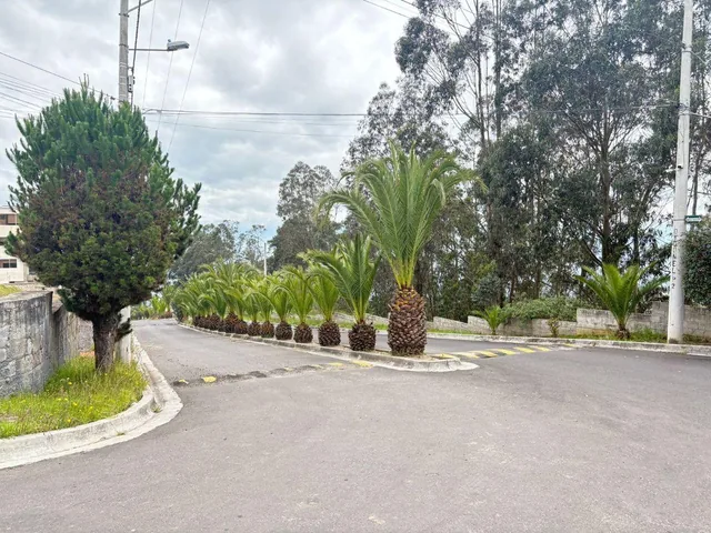 Terreno de Venta en Urbanizacion Montecarlo — imagen 4