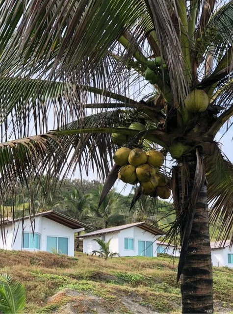 Terreno en Venta. Oportunidad Única de Inversión Frente Al Mar, Manabí — imagen 2