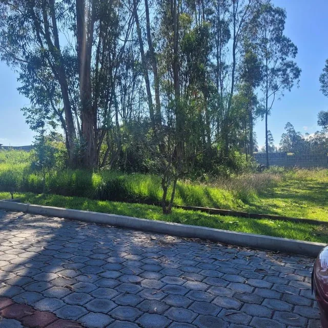 Llano Chico Vendo Terreno Antigua Hacienda San Jose 1000 m — imagen 5