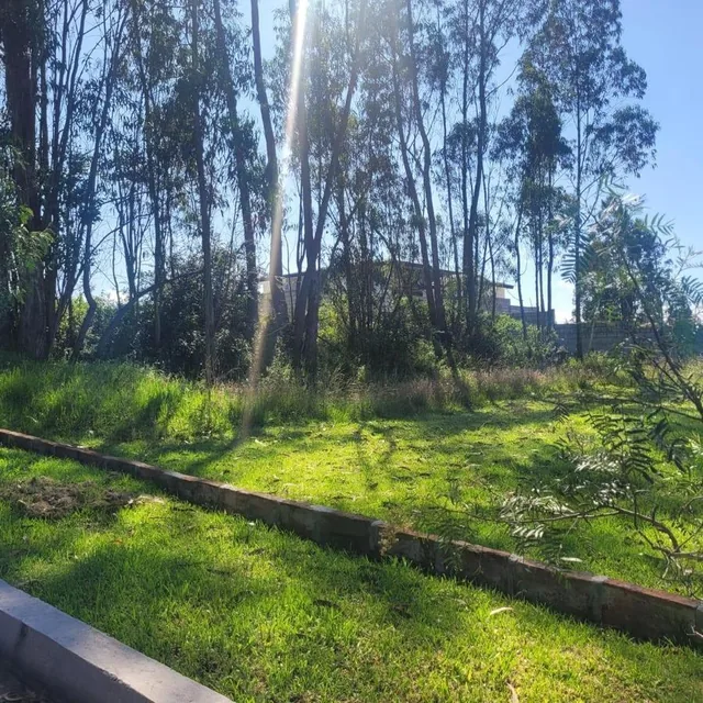 Llano Chico Vendo Terreno Antigua Hacienda San Jose 1000 m — imagen 4