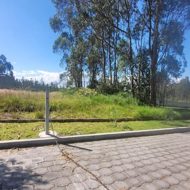 Llano Chico Vendo Terreno Antigua Hacienda San Jose 1000 m — imagen 2