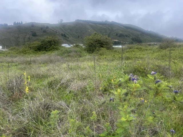 Mitad del Mundo Terreno de Venta Industrial — imagen 3