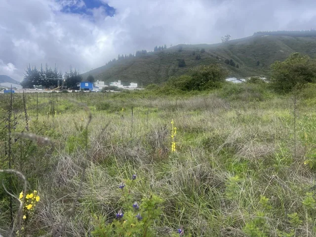 Mitad del Mundo Terreno de Venta Industrial — imagen 2