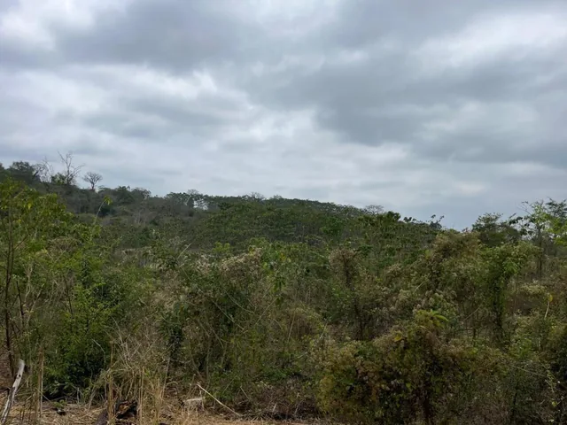Vendo Terreno Agroforestal en El Sector de Santa Elena — imagen 4