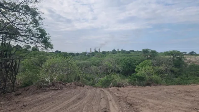 Macrolote, Manabí — imagen 5