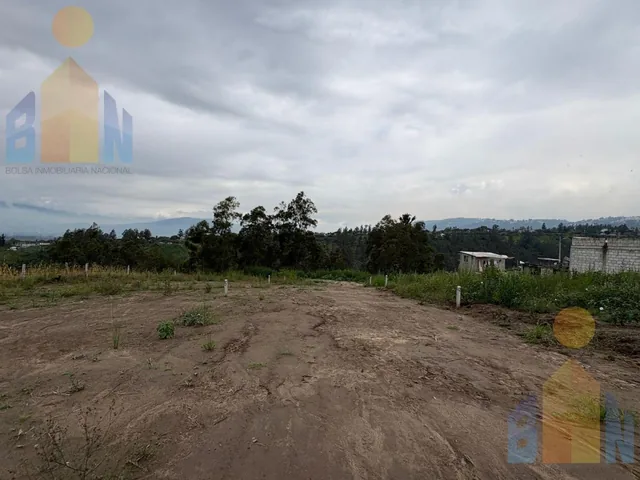 Vendo Terreno 50 % 100% Cos Proyecto Inmobiliario 6265 m² Llano Grande San Juan Loma Alto — imagen 4