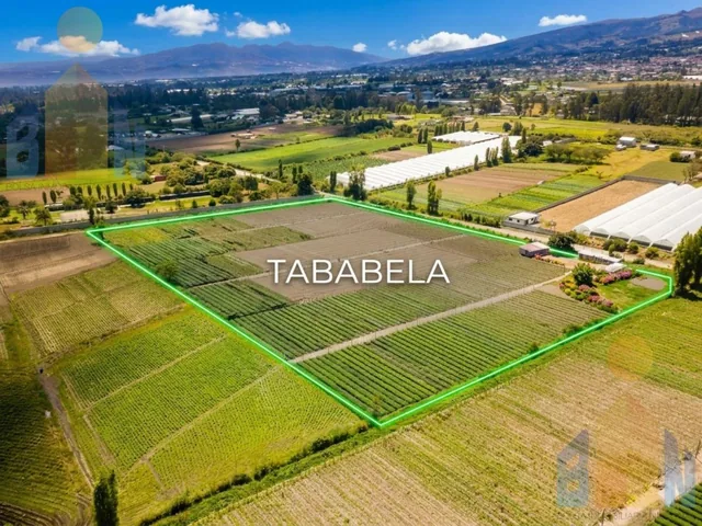 Terreno - Tababela — imagen 3