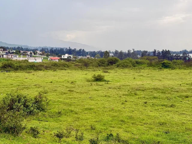 Vendo Terreno de 1 Has en Tababela (Redondel Aeropuerto y Vía Pifo El Quinche) — imagen 4
