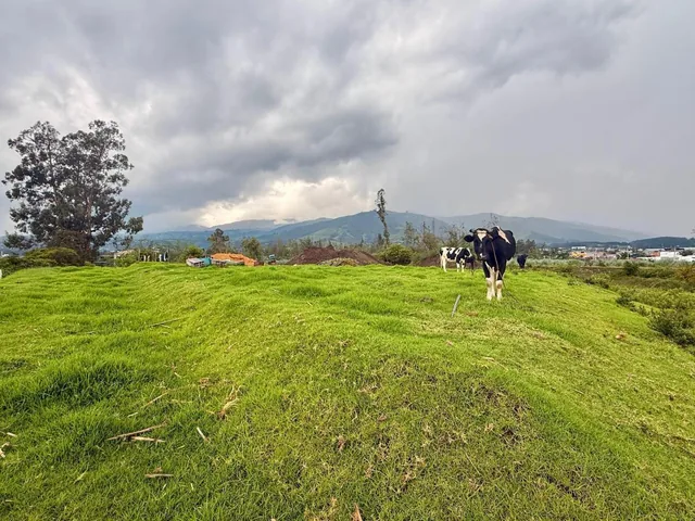 Vendo Terreno de 1 Has en Tababela (Redondel Aeropuerto y Vía Pifo El Quinche) — imagen 3