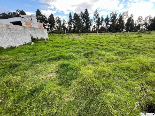 Terreno en Conocoto — imagen 5