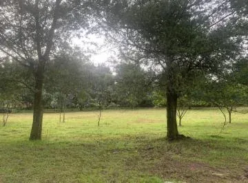 Oportunidad de Inversión en Yaruquí - Terreno de 20.000 m² — imagen 4