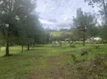 Oportunidad de Inversión en Yaruquí - Terreno de 20.000 m² — imagen 2