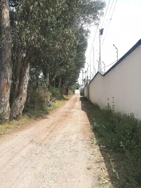 Terreno Plano 6500 m² Sector Santa Rosa en Tumbaco — imagen 5