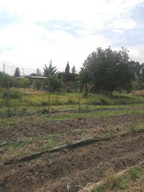 Terreno Plano 6500 m² Sector Santa Rosa en Tumbaco — imagen 3
