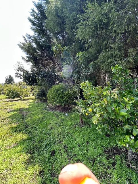 Tereno Para Finca Vacacional — imagen 2